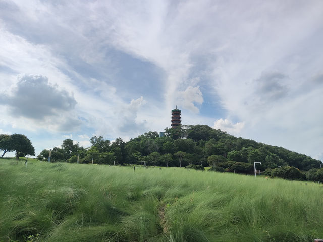 《光影之間，蔚徕的都市綠洲》