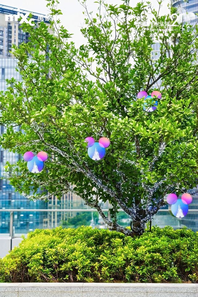 合照攻略「奇妙派對」夢幻打卡地圖全覽