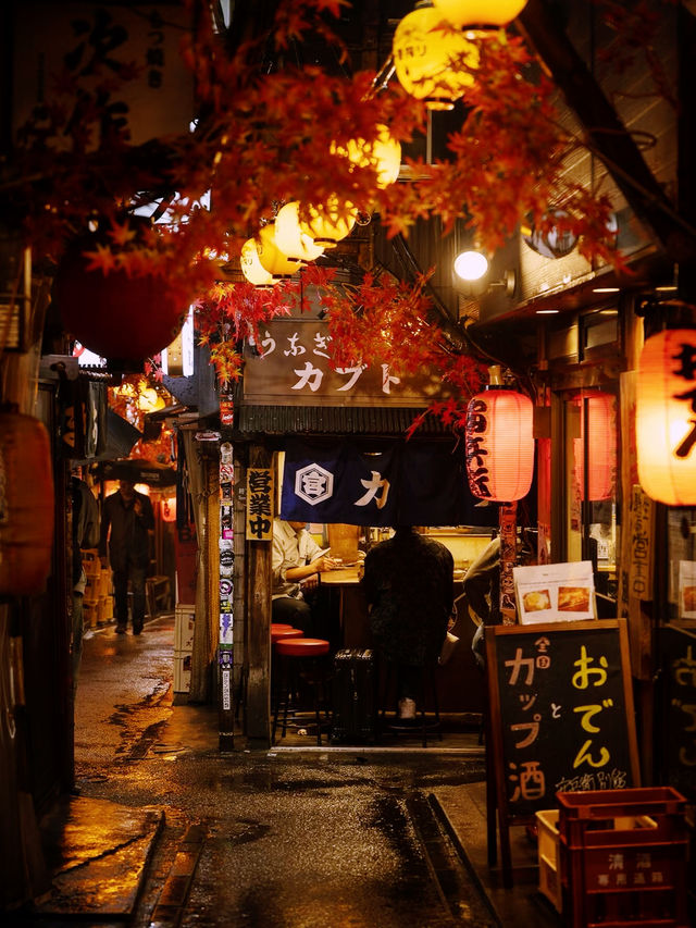 *【新宿の隠れ家酒場「思い出横丁」で大人の夜を楽しむ】**  