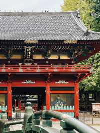 【東京の隠れ家スポット：根津神社で春の杜鵑花に癒されよう】*