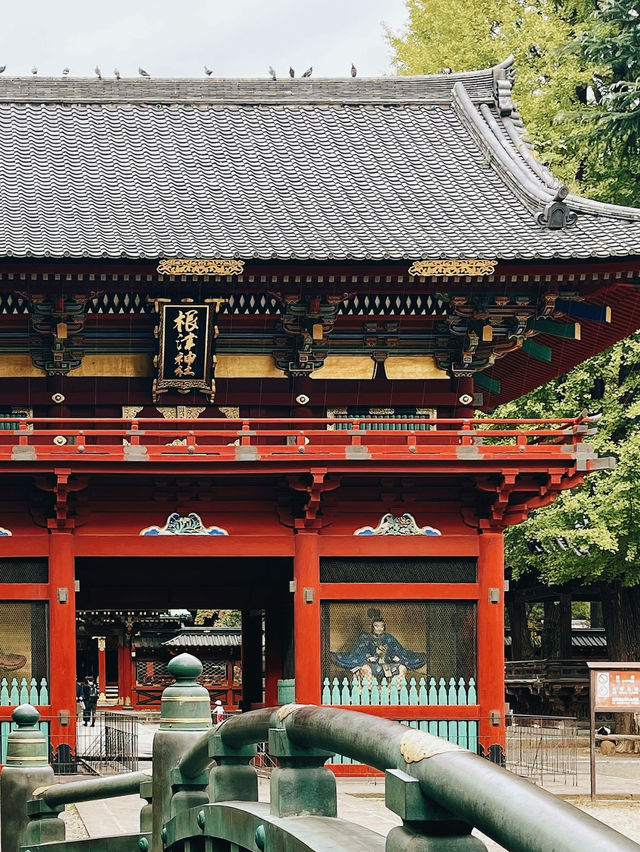 【東京の隠れ家スポット：根津神社で春の杜鵑花に癒されよう】*