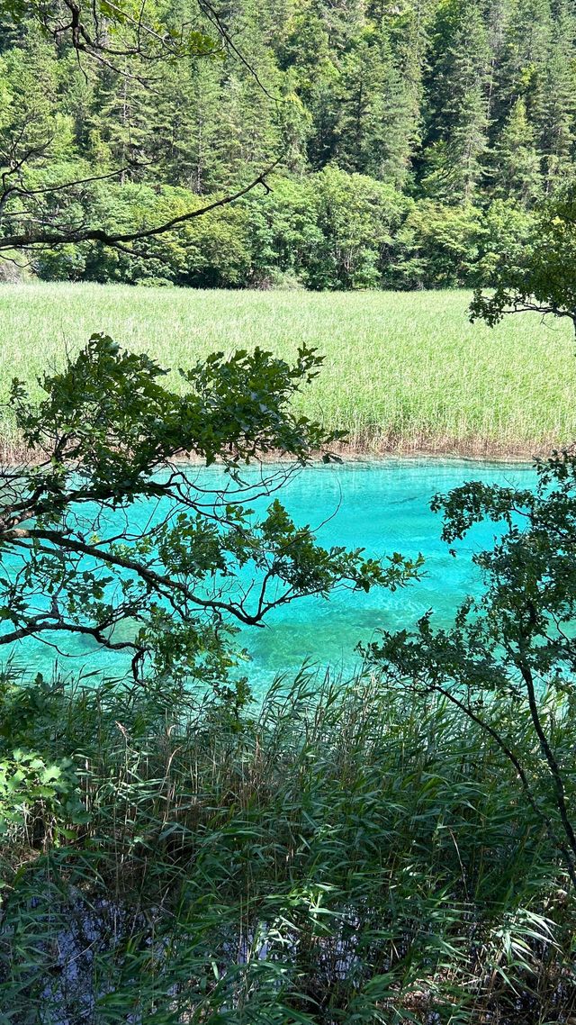 九寨溝實測｜當「水嘅史詩」照進現實：14個真實體驗話你知，點解佢係景區天花板   「話九寨溝審美