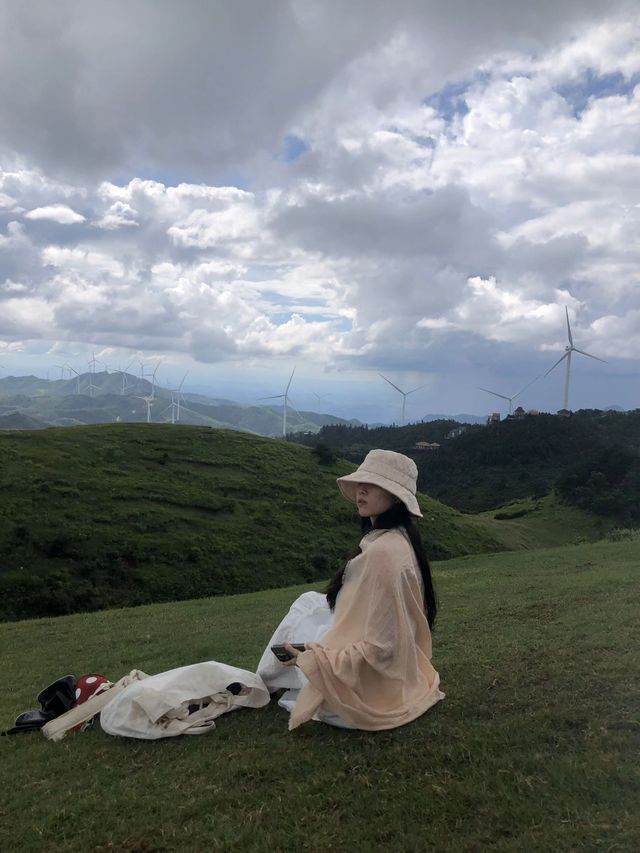 初夏的呼倫貝爾才是人間理想