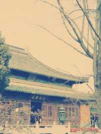 中国・泰州「南山寺」大雄宝殿の魅力と観光ガイド​