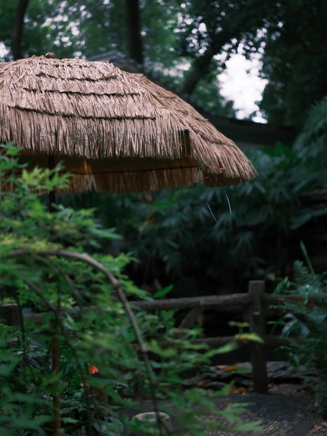 富士直出-闖入廣州蘭圃-靜謐園林美學