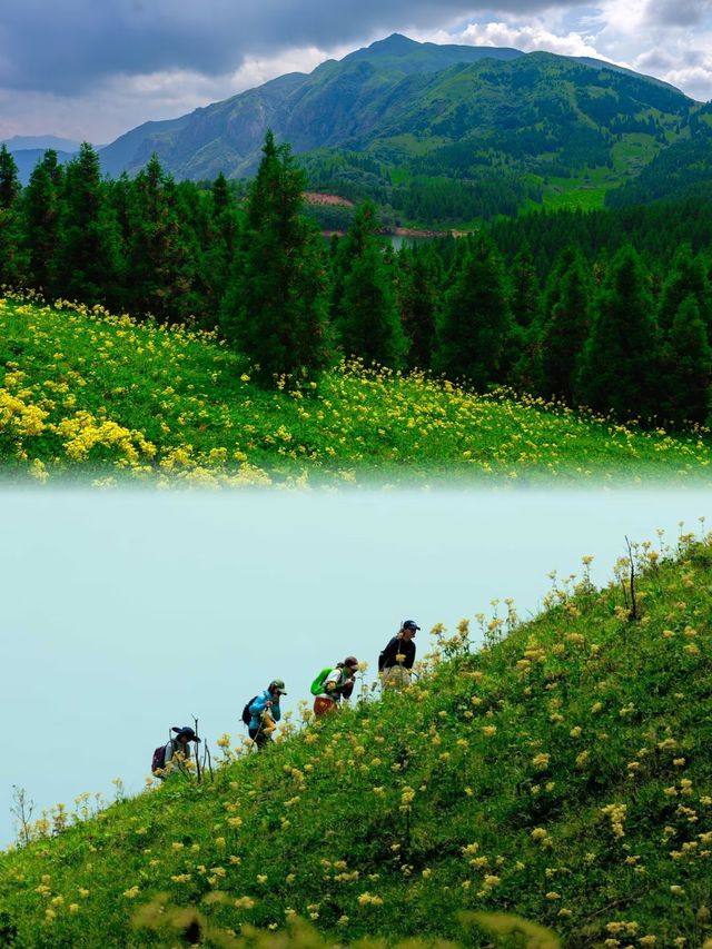 今年桂林小黃花嘅天花板：茶坪水庫