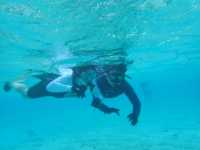 Saipan island snorkeling experience