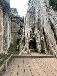 Angkor Wat Day Trip From Phnom Penh, Here Is how To do it! It’s Possible! 