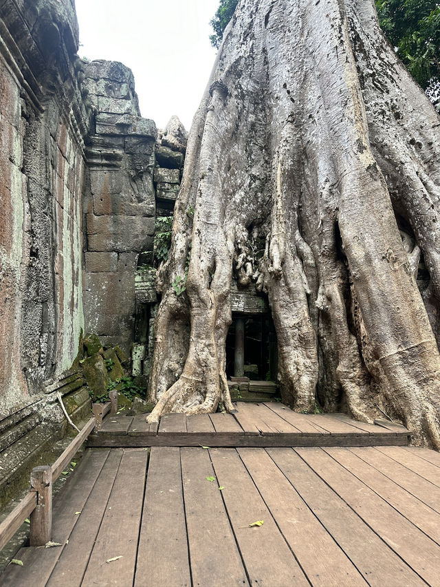 Angkor Wat Day Trip From Phnom Penh, Here Is how To do it! It’s Possible! 