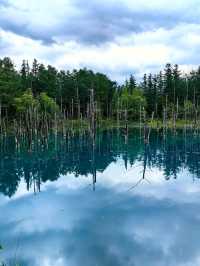 藍色的北海道白金青池