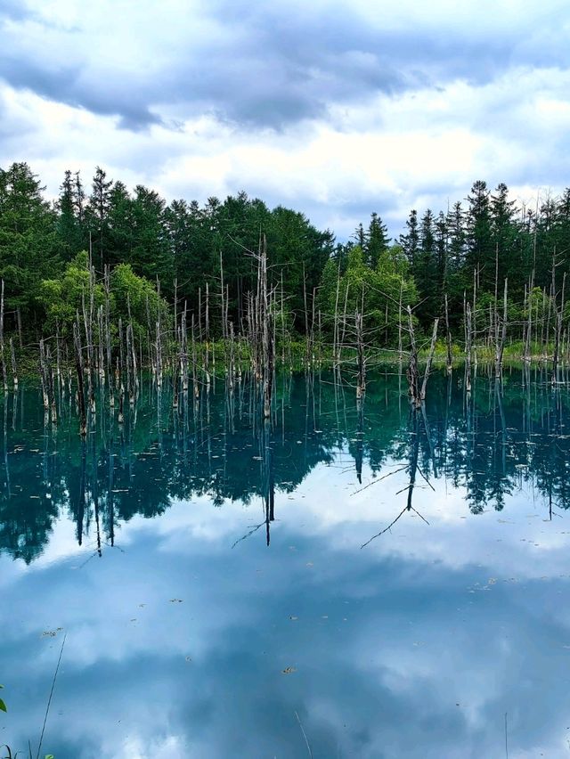 藍色的北海道白金青池