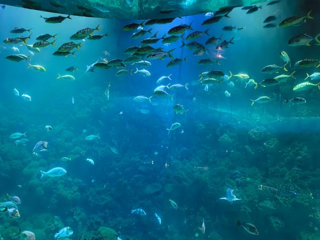 濟南青島5日浪漫之旅，等你來約！