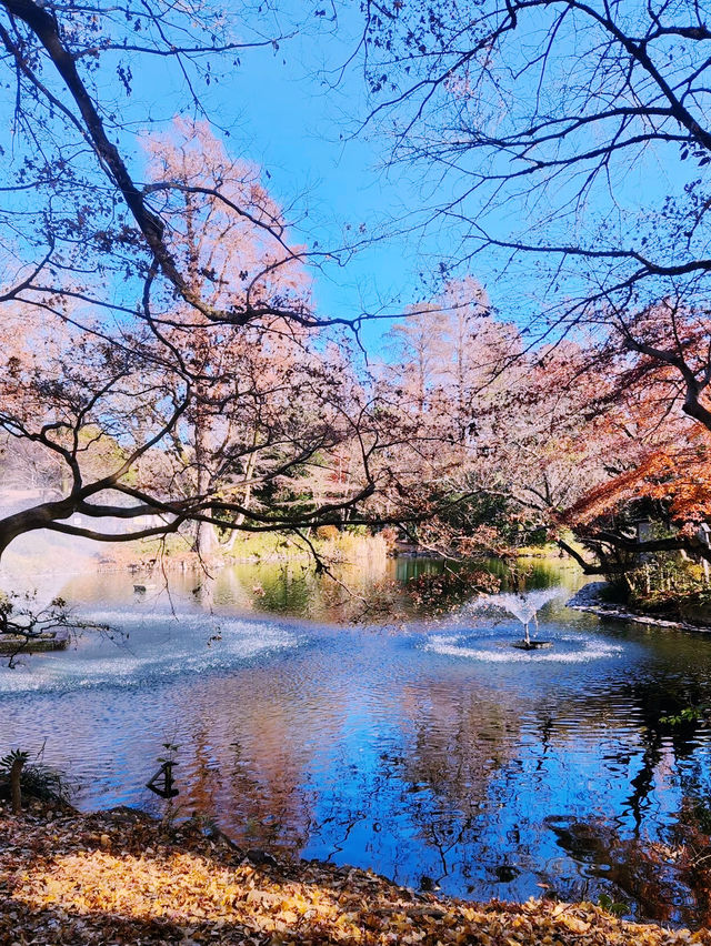 東京隱世桃源｜吉祥寺：文青聖地與慢活天堂】**    