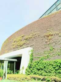 探索生命奧秘！大阪市立自然史博物館必訪指南】**  