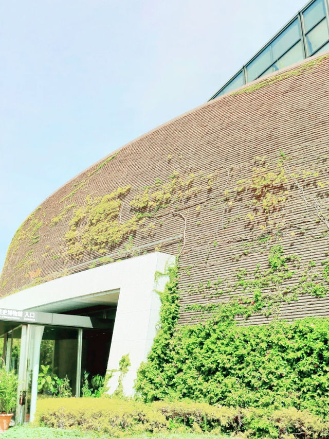 探索生命奧秘！大阪市立自然史博物館必訪指南】**  