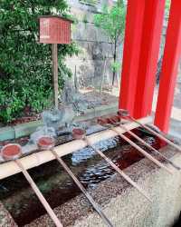 靜岡夏日避暑秘境諏訪神社綠蔭環繞の神隱指南