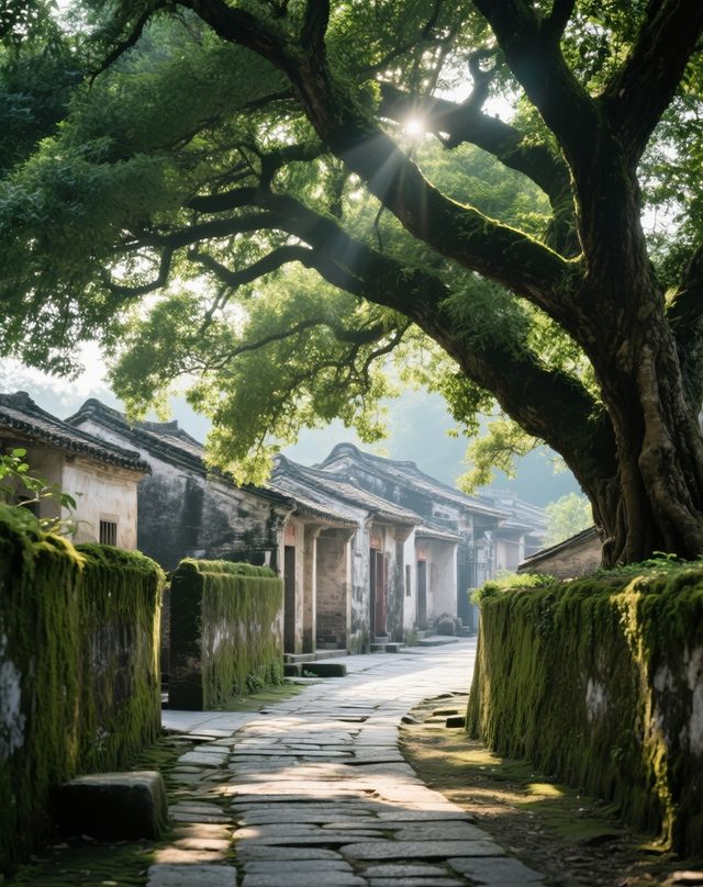 東莞｜藏喺繁華裏嘅寶藏城市，治癒感爆燈！