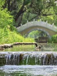 喺北京一個唔小心跌入初夏嘅綠野仙蹤