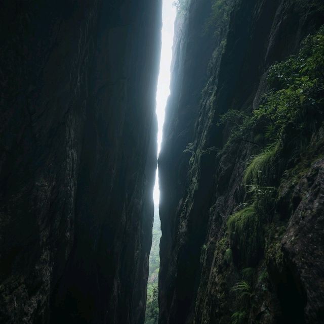 三清山：雲端仙境的朝聖之旅