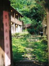 福建漳州小眾民宿 | 青綠間