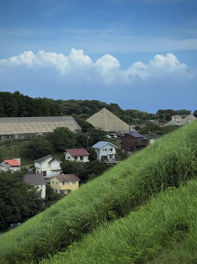 伊豆的夏天,簡直是日本旅行天花板! 伊豆的夏天,簡直是日本旅行天花板!