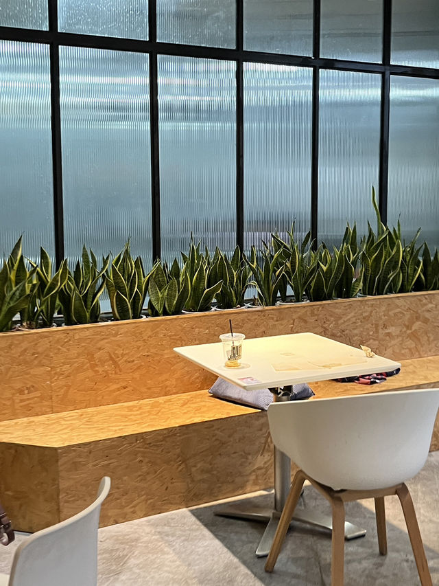 Good place for Weekend Getaway, Fanshu Guangzhou Reading Lounge ☕📚✨