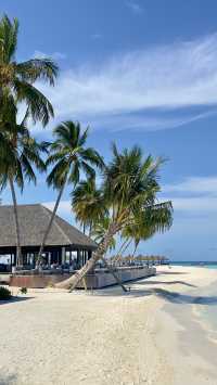 Comfortable Villas and Delicious Dining Experience
