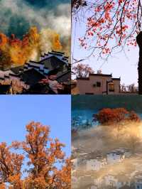 婺源石城—紅楓映黛瓦,晨霧繞古村
