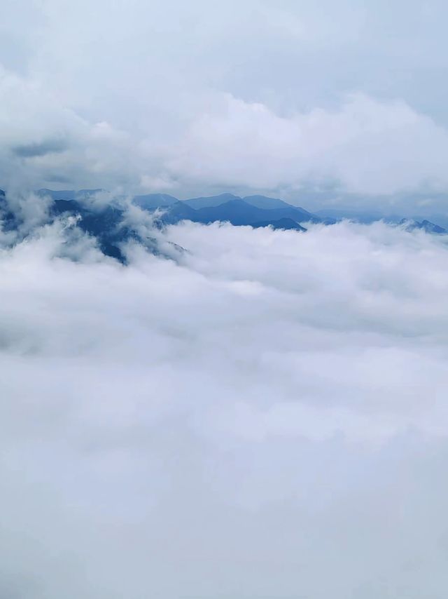 雲巔仙境漫步記