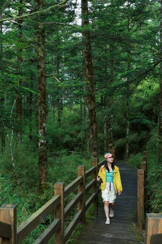 Escape the summer heat in the mountains, Hubei’s top secret destination Shennongjia