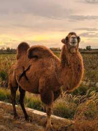 Kanas and Hemu, China: Hidden Gems of Xinjiang’s Scenic Landscapes