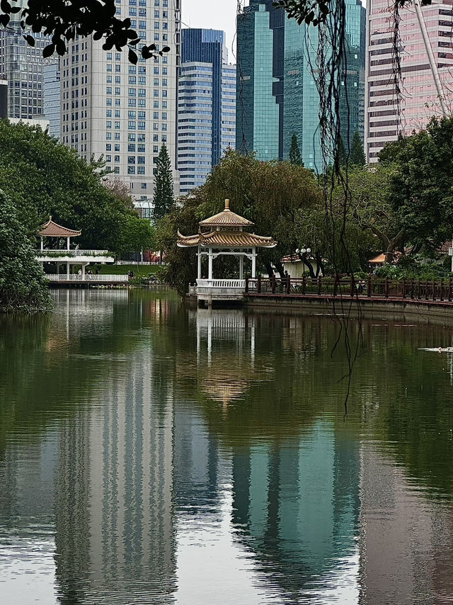 Lychee Park Shenzhen