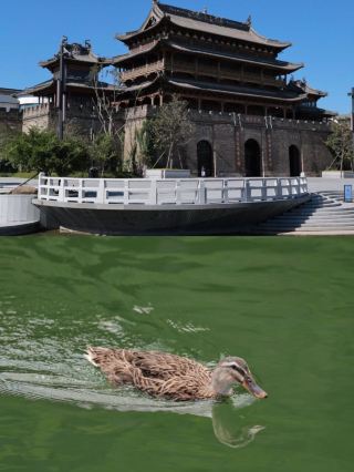 Where to go for National Day? I found a relaxing holiday of "trend" and "music" in Yanguan Ancient City