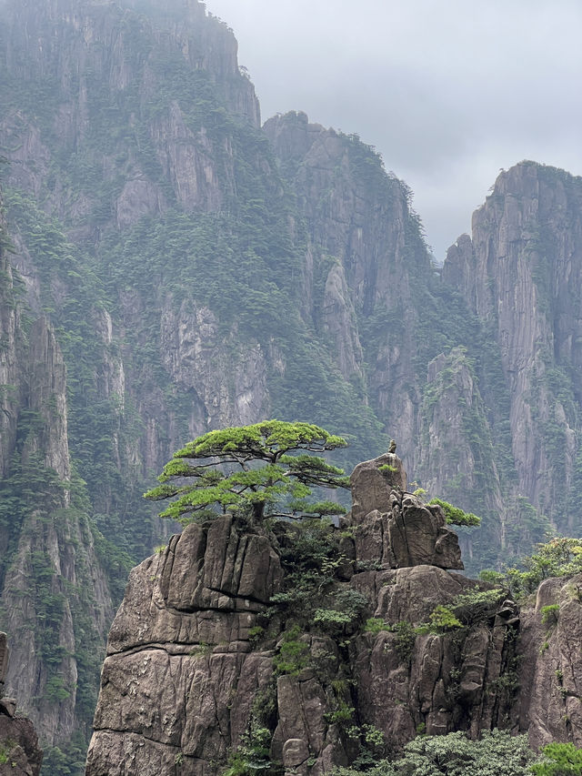 🇨🇳 Breathing the Clouds — A Journey Through Huangshan Mountain