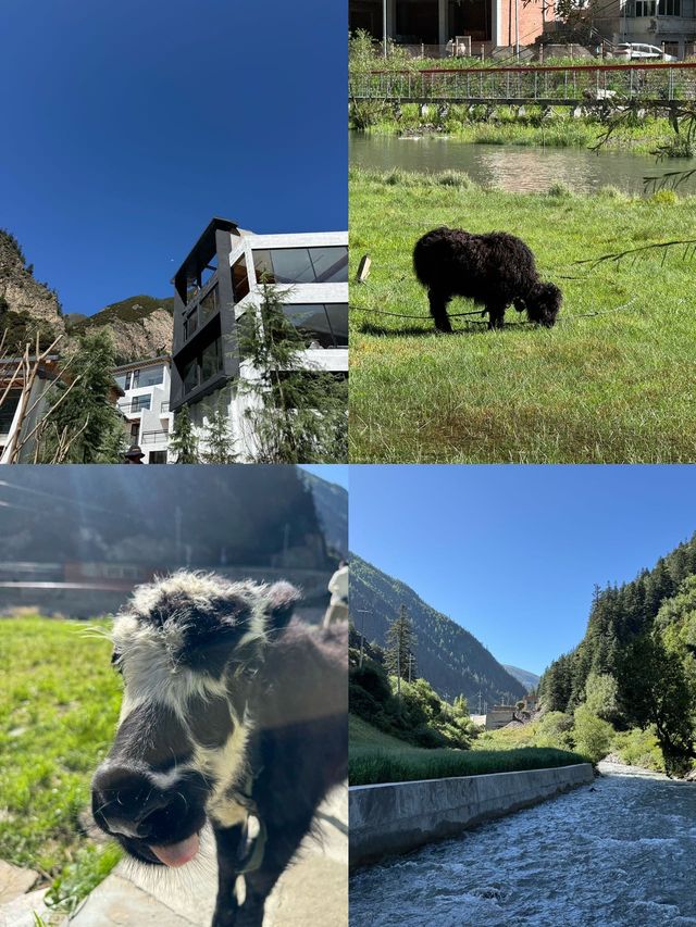 川西｜在四姑娘山住進秋天裡