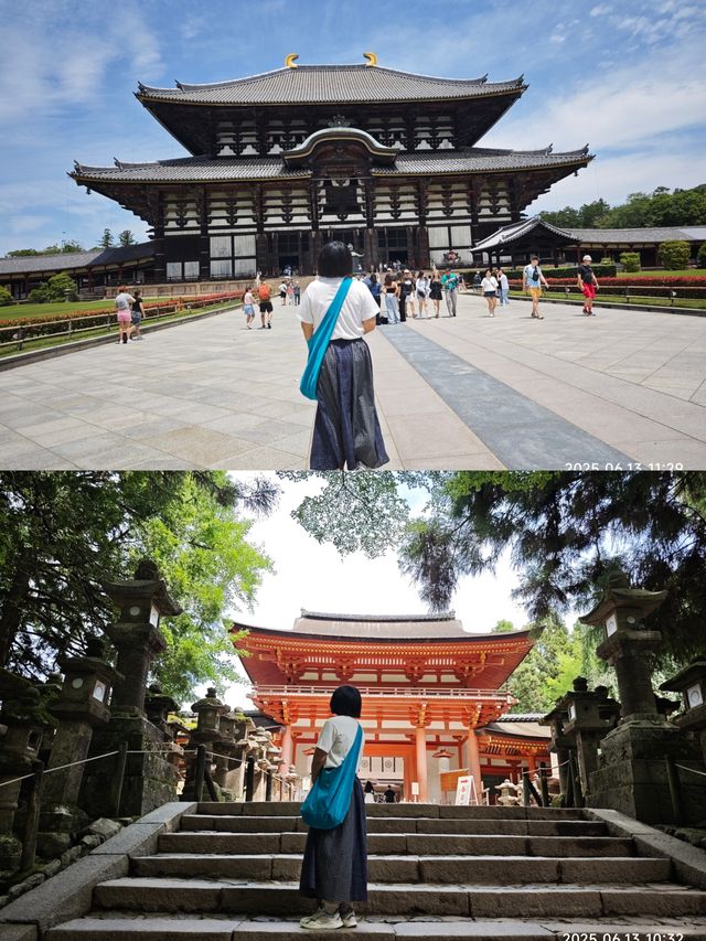 6月日本京都，奈良，名古屋，大阪6日