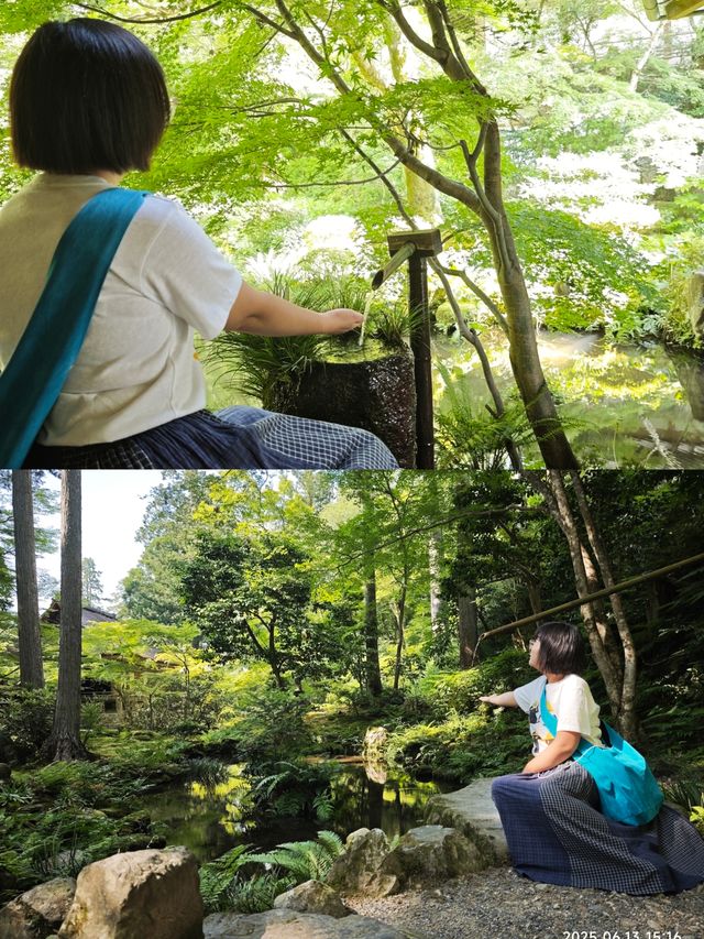 6月日本京都，奈良，名古屋，大阪6日