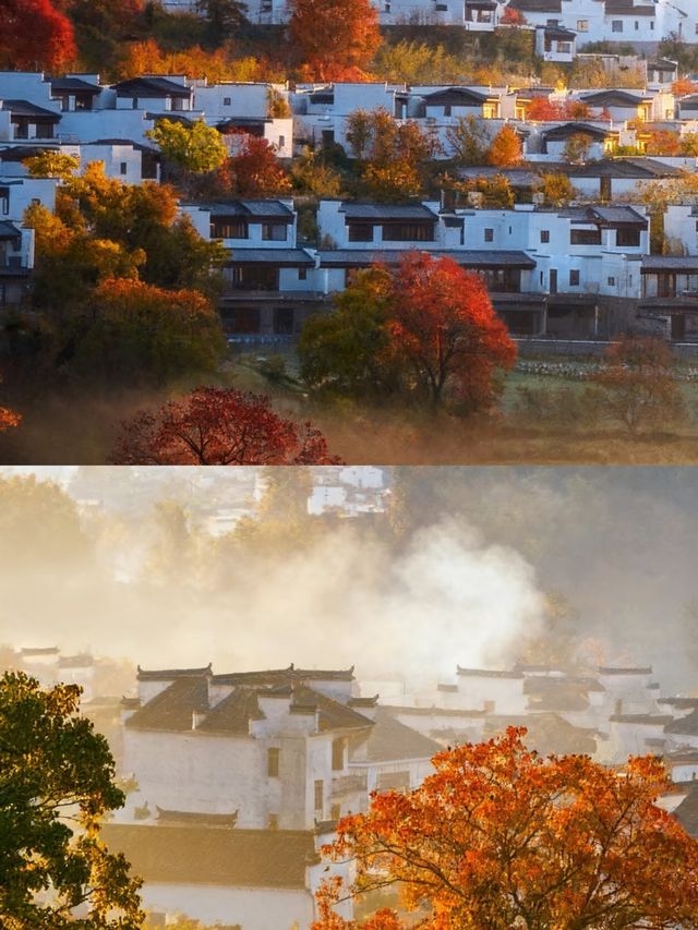後來啊，我逢人說這是我見過最美的秋