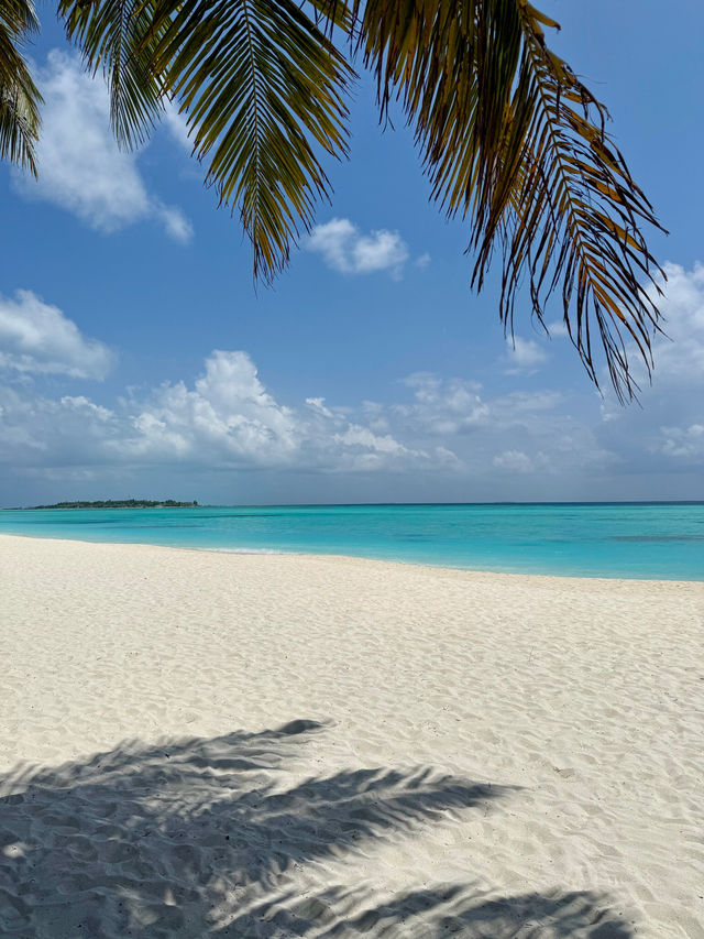 Unforgettable Beach Experience