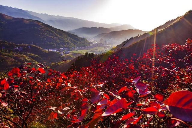 丹霞山秋景如畫