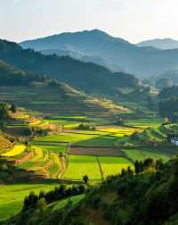 江西的田園烏托邦|是逃離城市喧囂、擁抱山野慢生活的小眾寶藏地