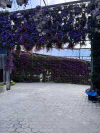 Garden Delights at Flora Park