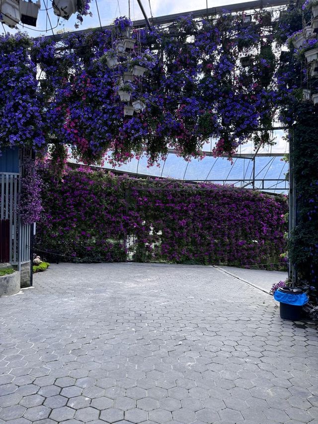 Garden Delights at Flora Park