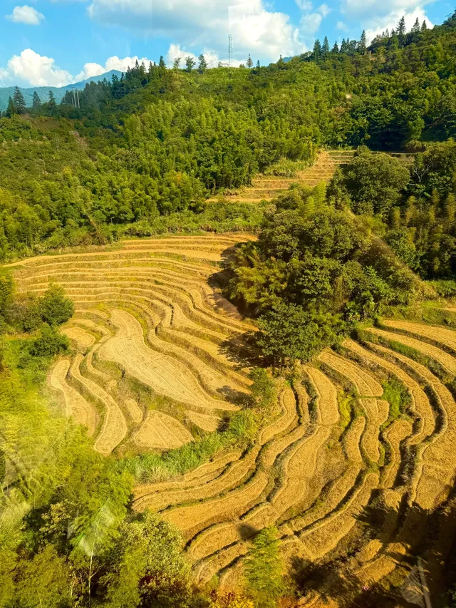 過年反向旅行，春節出遊就去婺源