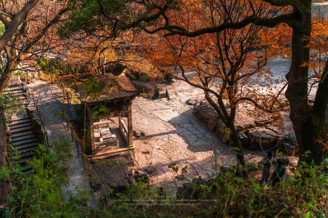 接下來的蘇州將是封神級別的秋景