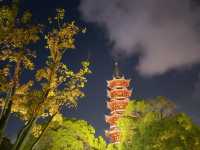 龍華會申城新地標，越夜越精彩