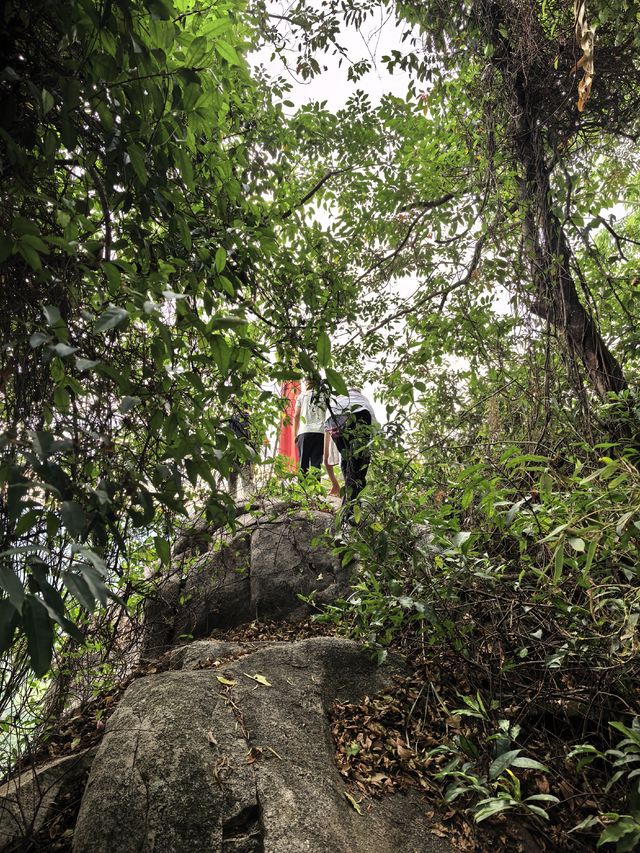 登高眺望漳州長泰巖溪全景 登高眺望漳州長泰巖溪全景