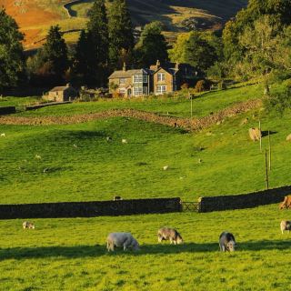 Hidden Gem of England: The Autumn Romance of the Lake District