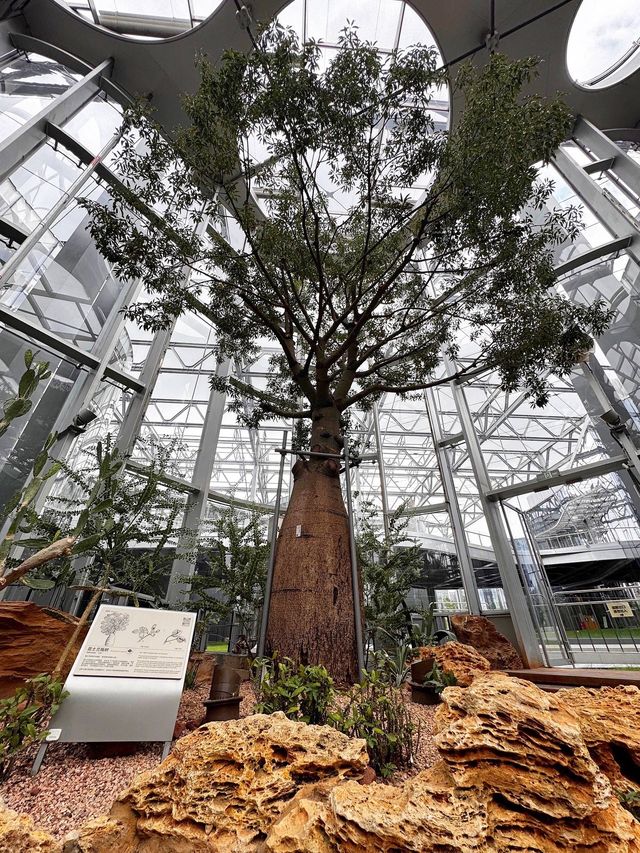 魔都慢生活圖鑑:世博文化公園的治癒時光 魔都慢生活圖鑑:世博文化公園的治癒時光