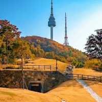 🍂 서울 가을, 2만 걸음으로 만나는 황금의 추억